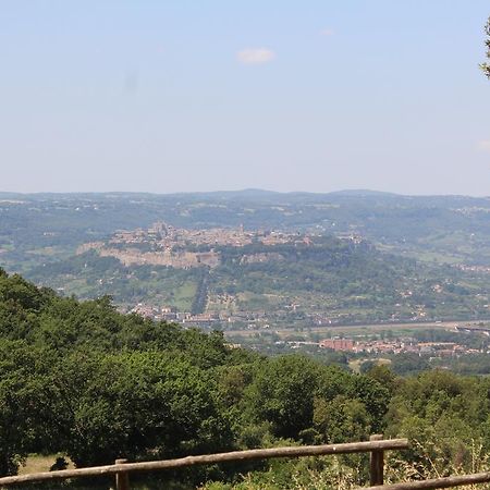 Agriturismo Fattoria Poggio Boalaio Orvieto Zewnętrze zdjęcie