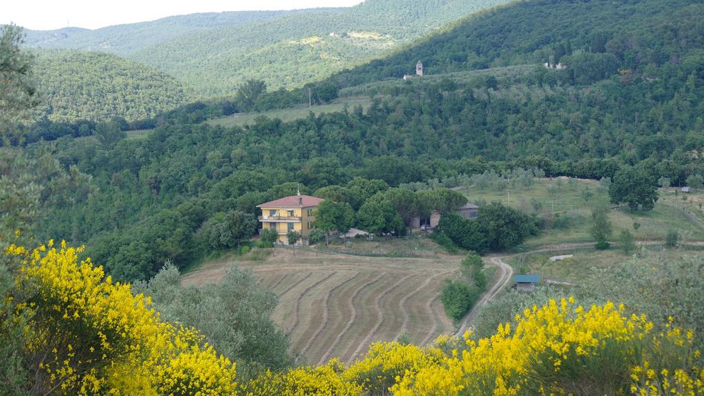 Agriturismo Fattoria Poggio Boalaio Orvieto Zewnętrze zdjęcie