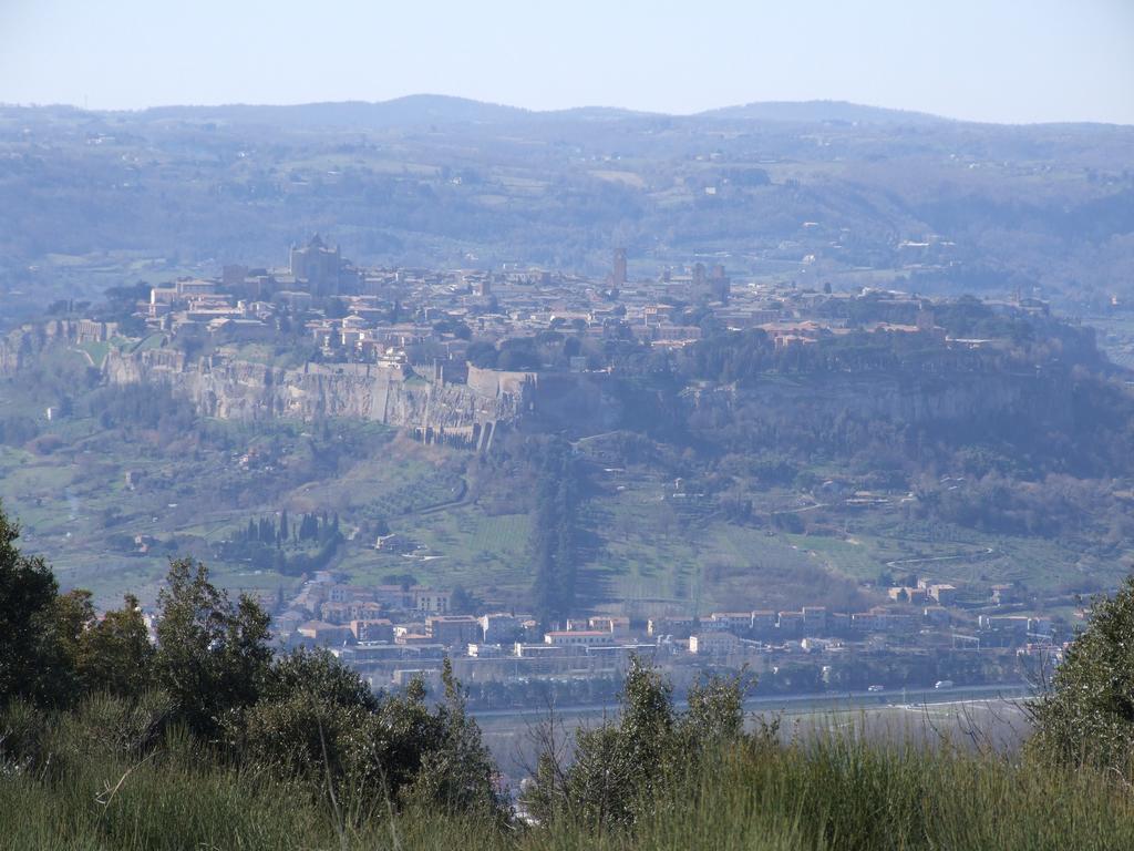 Agriturismo Fattoria Poggio Boalaio Orvieto Zewnętrze zdjęcie