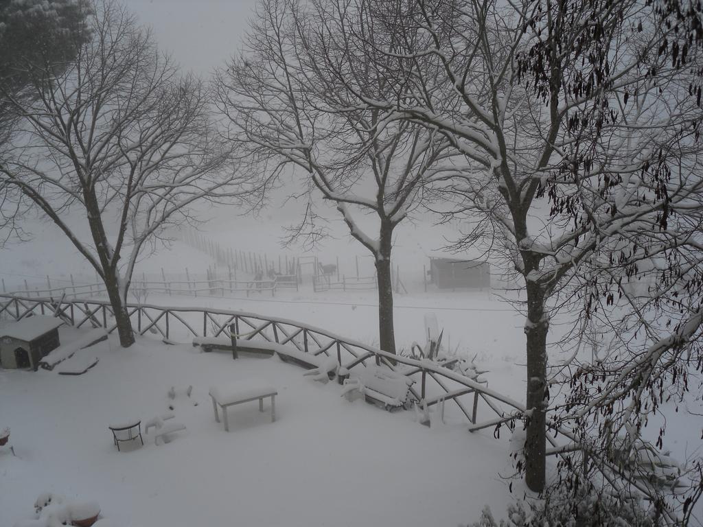 Agriturismo Fattoria Poggio Boalaio Orvieto Zewnętrze zdjęcie