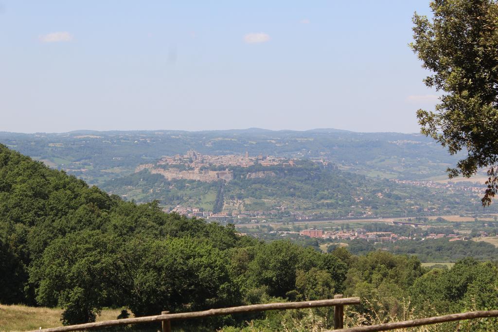 Agriturismo Fattoria Poggio Boalaio Orvieto Zewnętrze zdjęcie