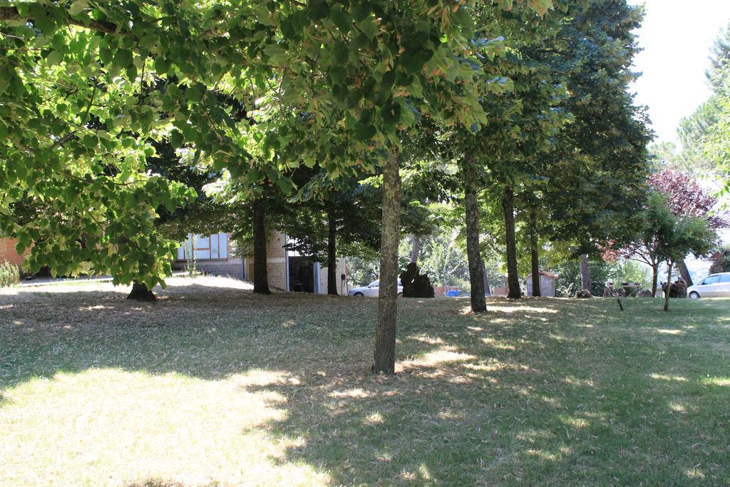Agriturismo Fattoria Poggio Boalaio Orvieto Zewnętrze zdjęcie