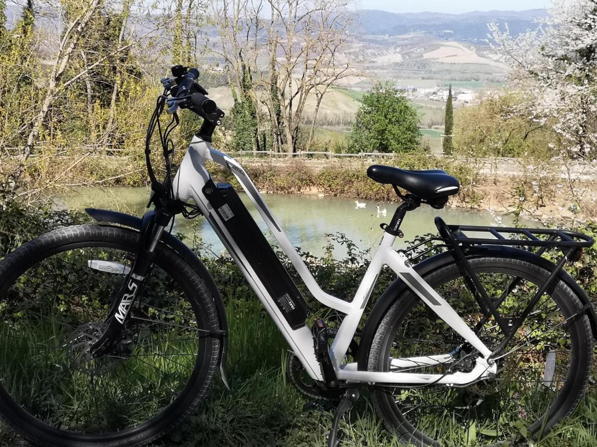 Agriturismo Fattoria Poggio Boalaio Orvieto Zewnętrze zdjęcie